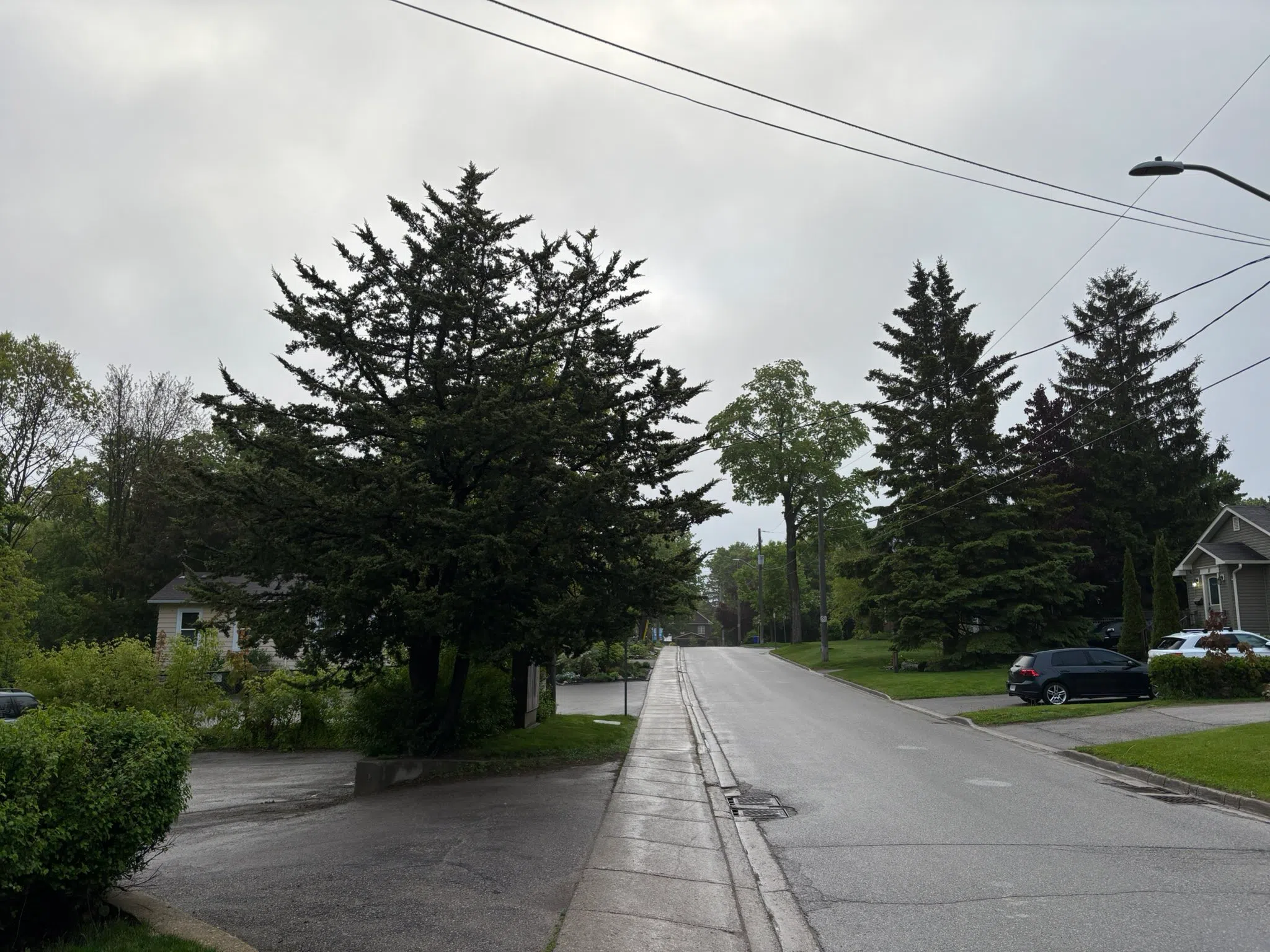 Orangeville forecast for Thursday, May 29th