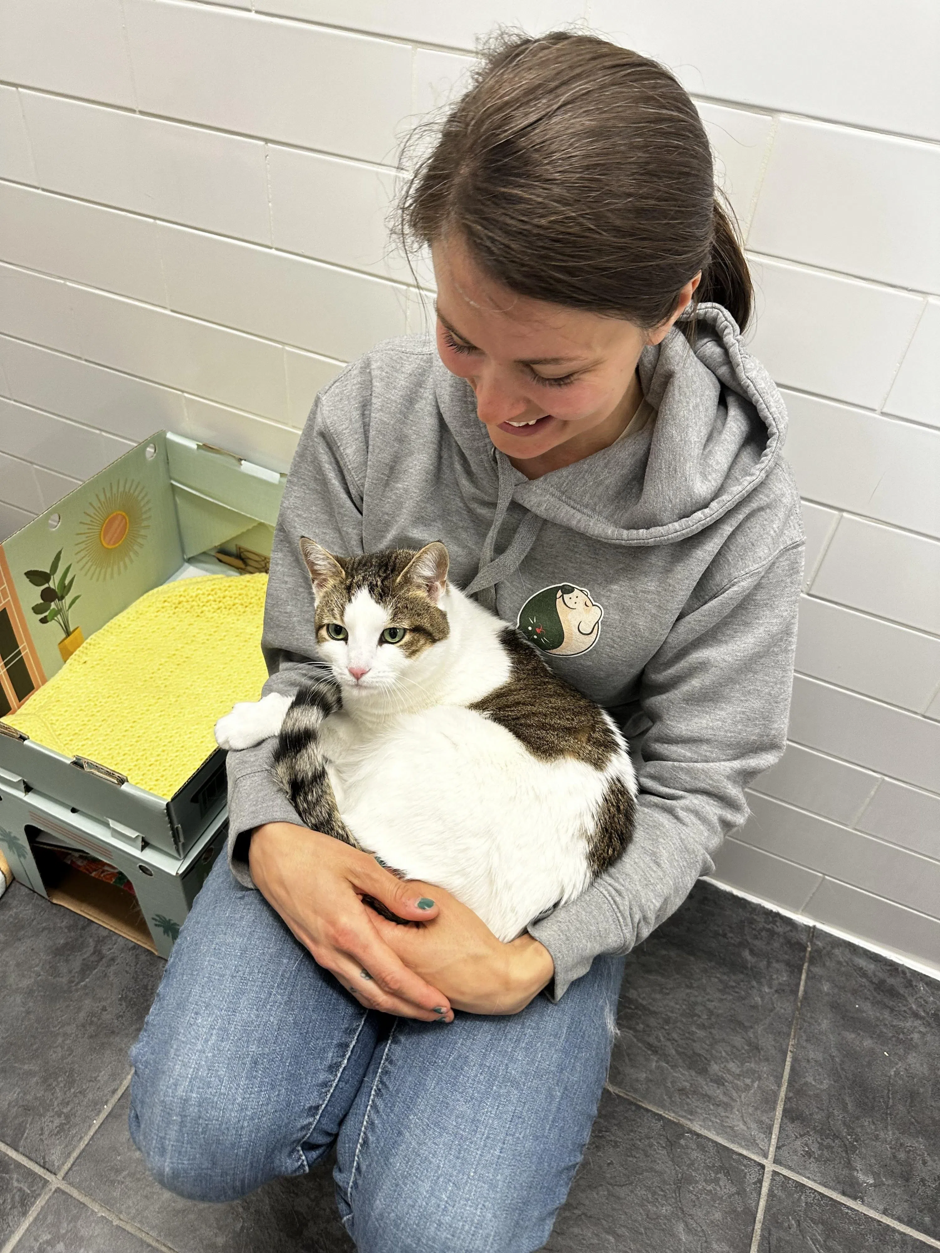 Pet of the Week and iAdopt Campaign May 23 to May 25th