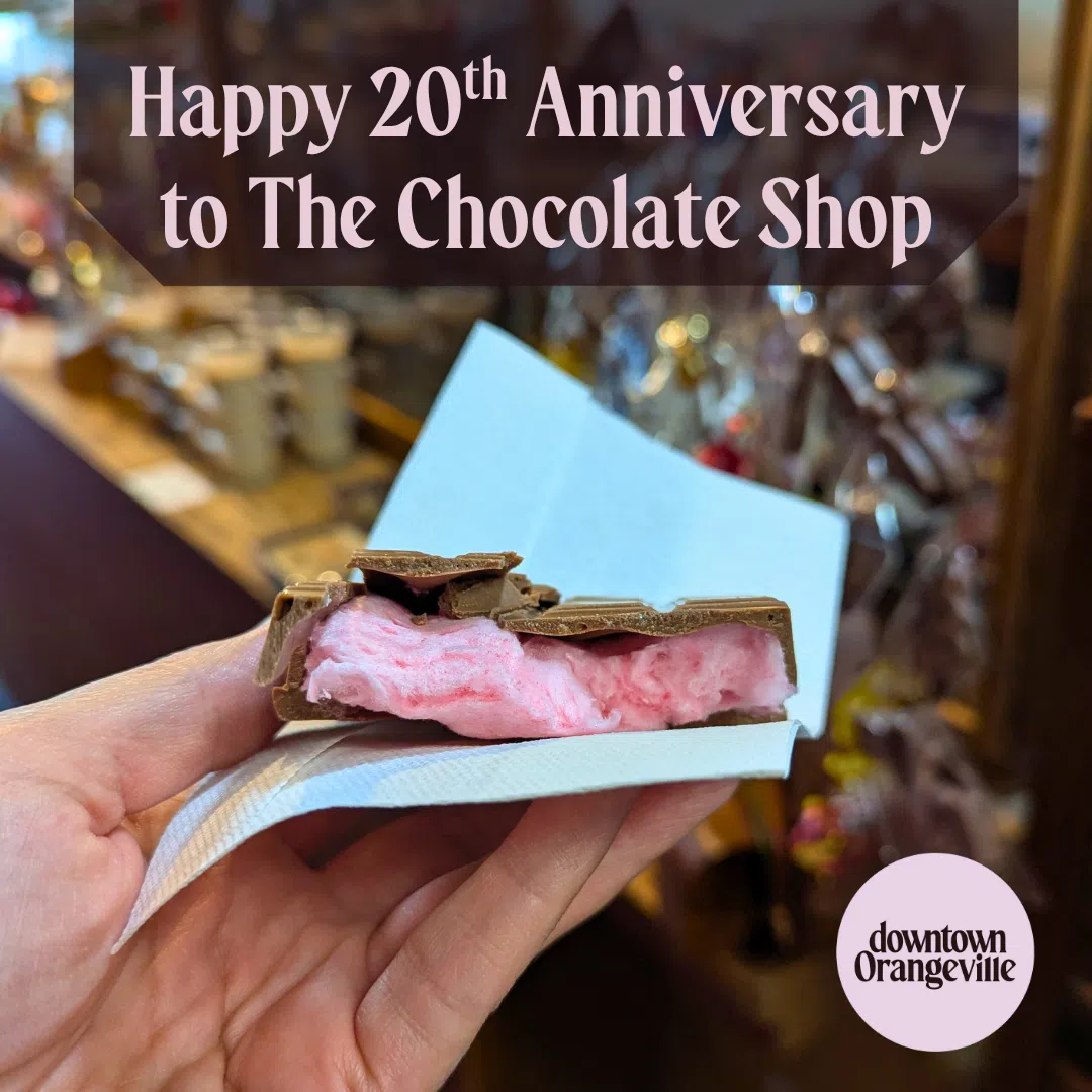 Local Business Celebrates 20 Years