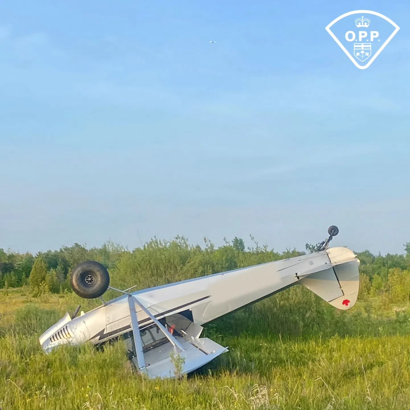 Airplane Goes Down In Caledon, Investigation Ongoing