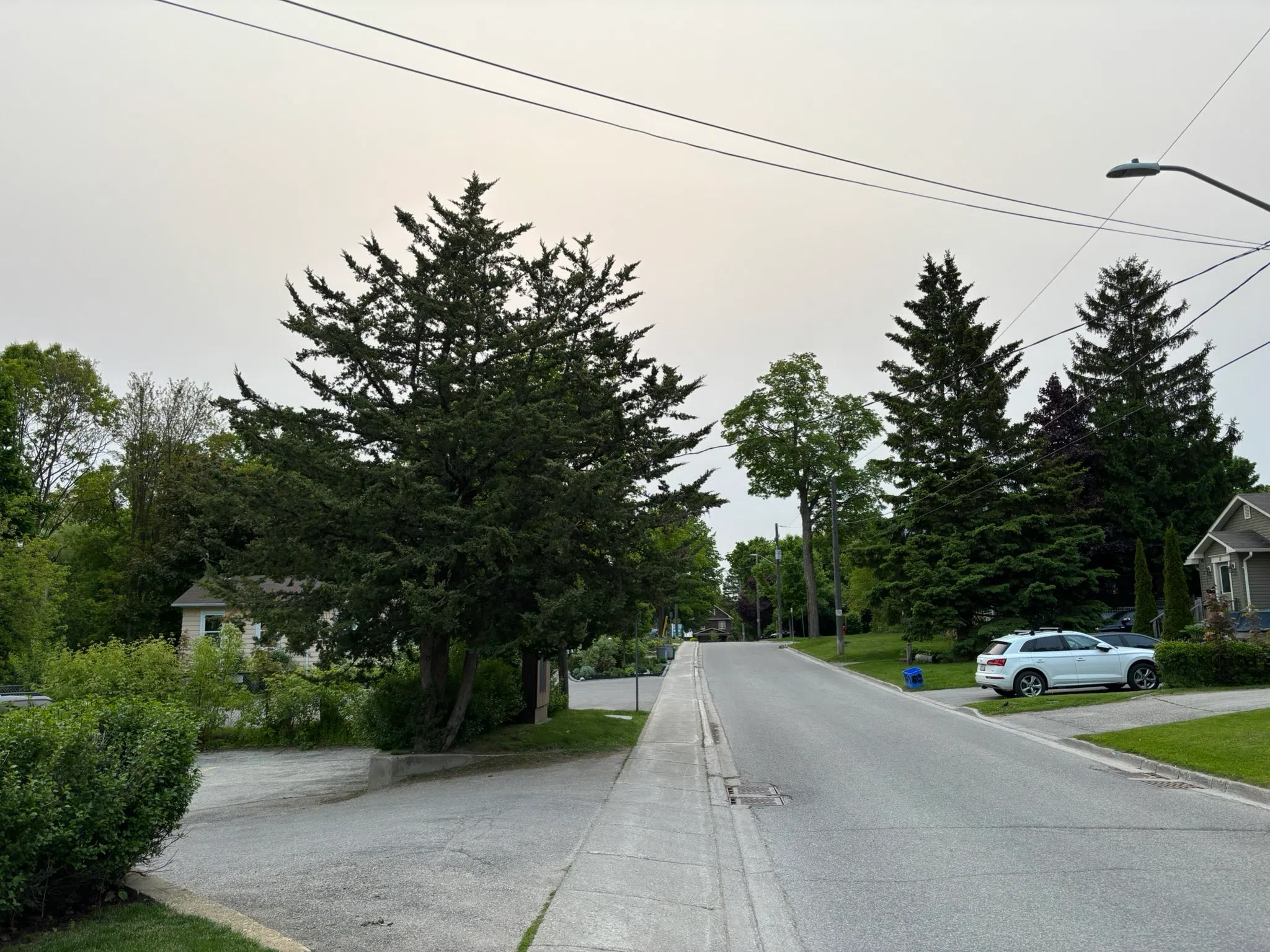 Orangeville forecast for Tuesday, June 3rd