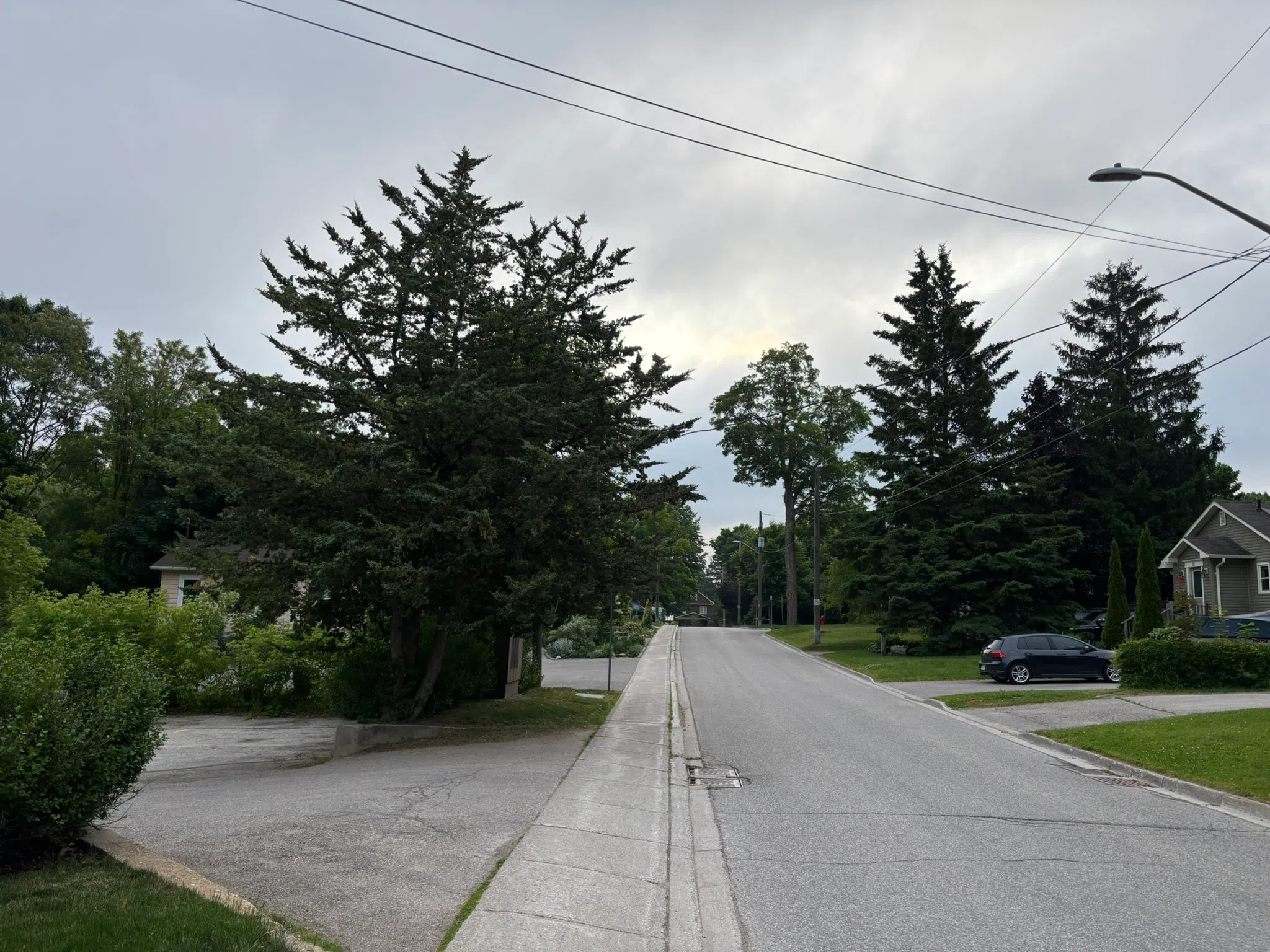 Orangeville forecast for Friday, June 20th