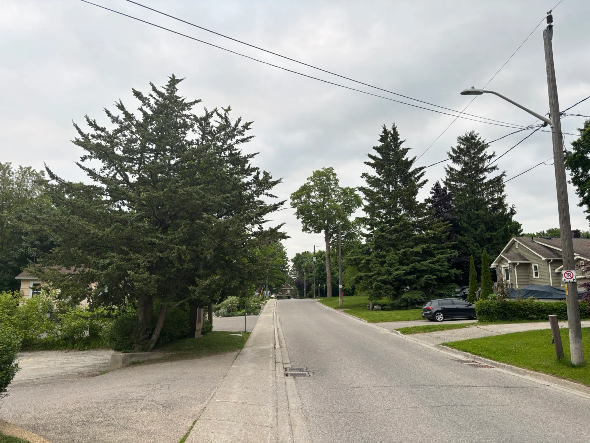 Orangeville forecast for Wednesday, June 11th