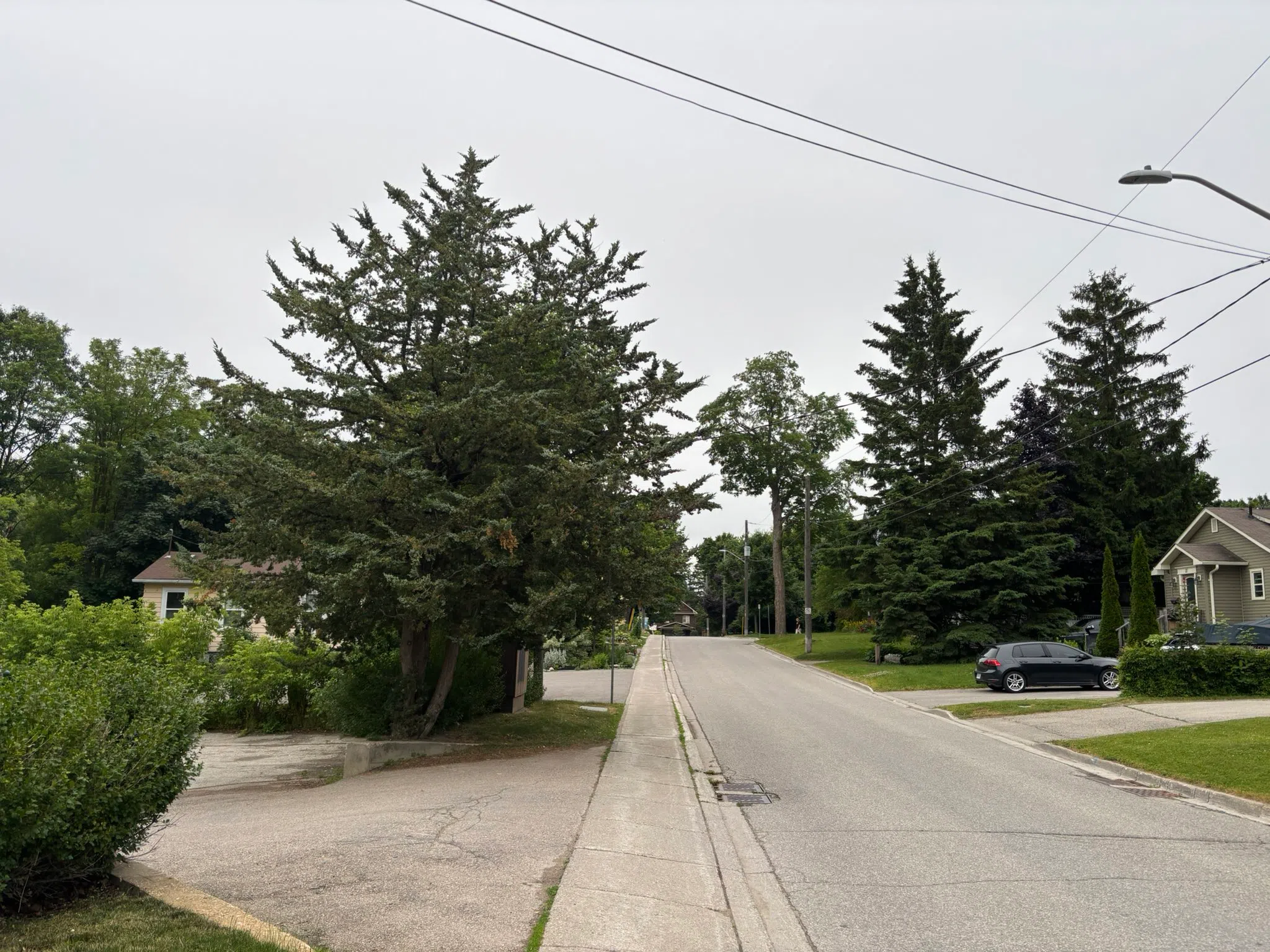 Orangeville forecast for Friday, June 27th