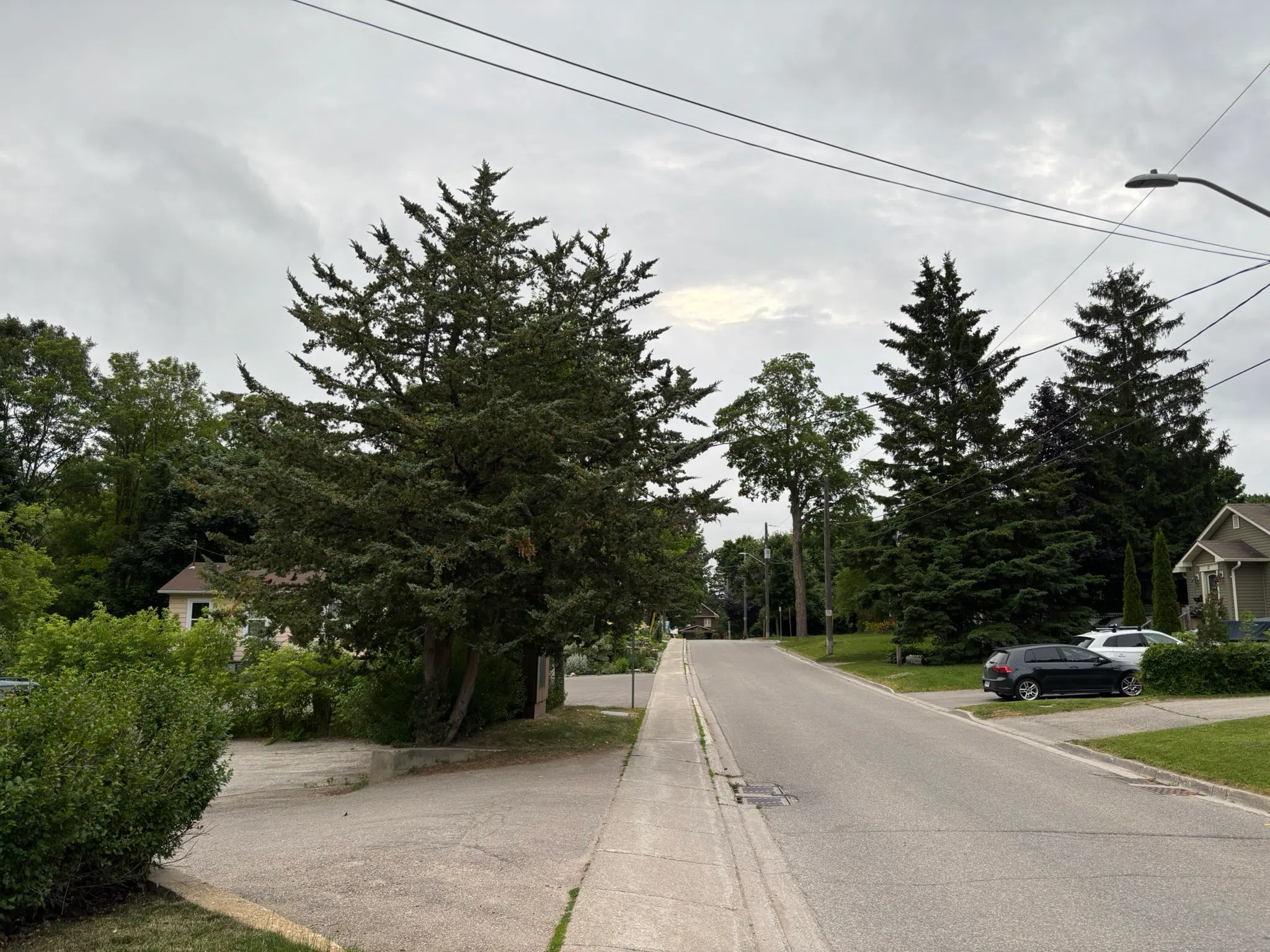 Orangeville forecast for Thursday, June 26th