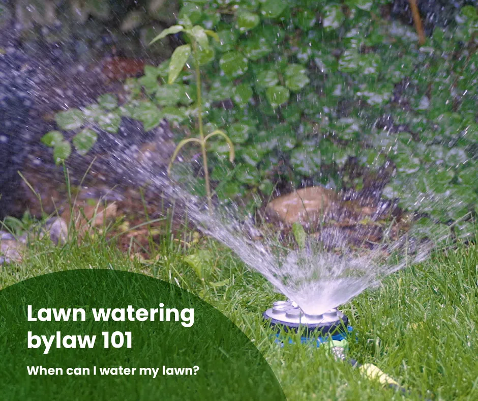 Lawn Watering By-Law In Effect