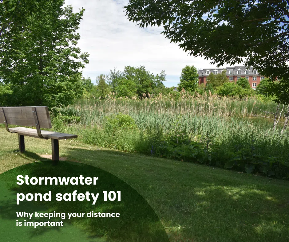 Stormwater Ponds Are For Flooding, Not Fun