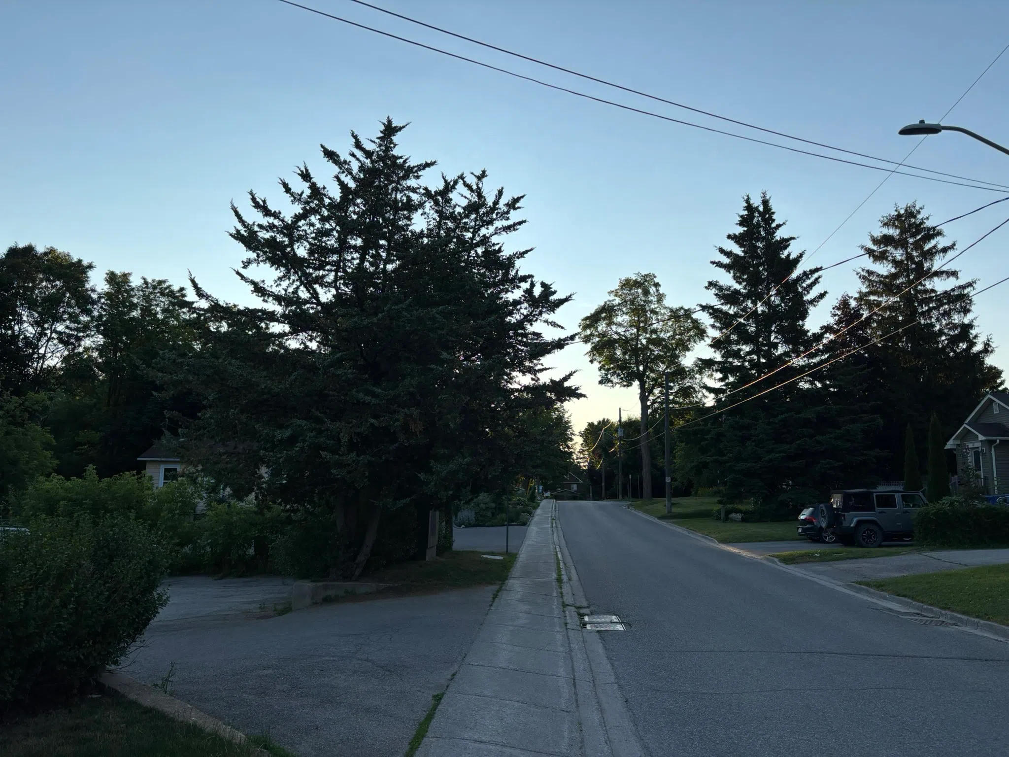 Orangeville forecast for Friday, July 4th