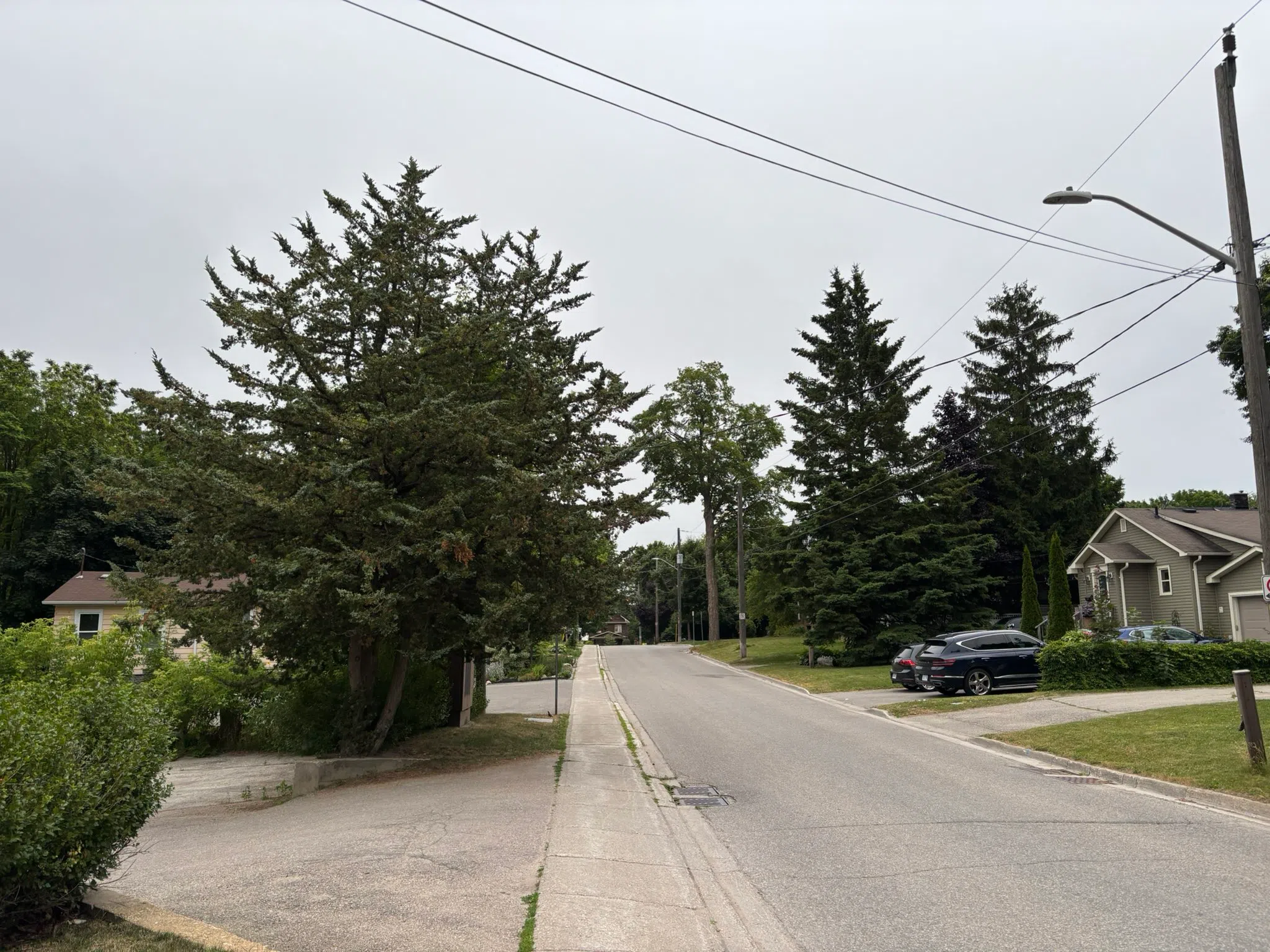 Orangeville forecast for Tuesday, July 8th