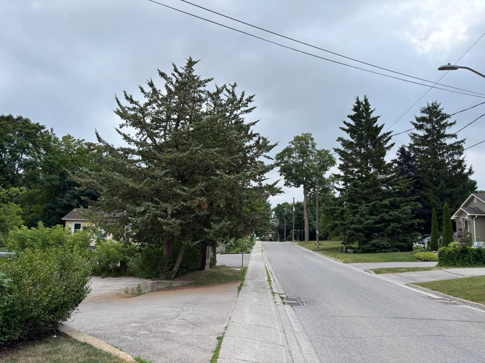 Orangeville forecast for Thursday, July 17th