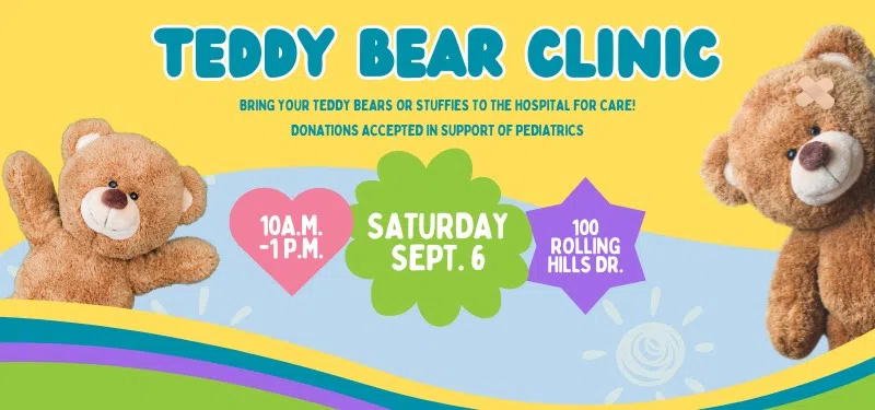The Teddy Bear Picnic is Back!