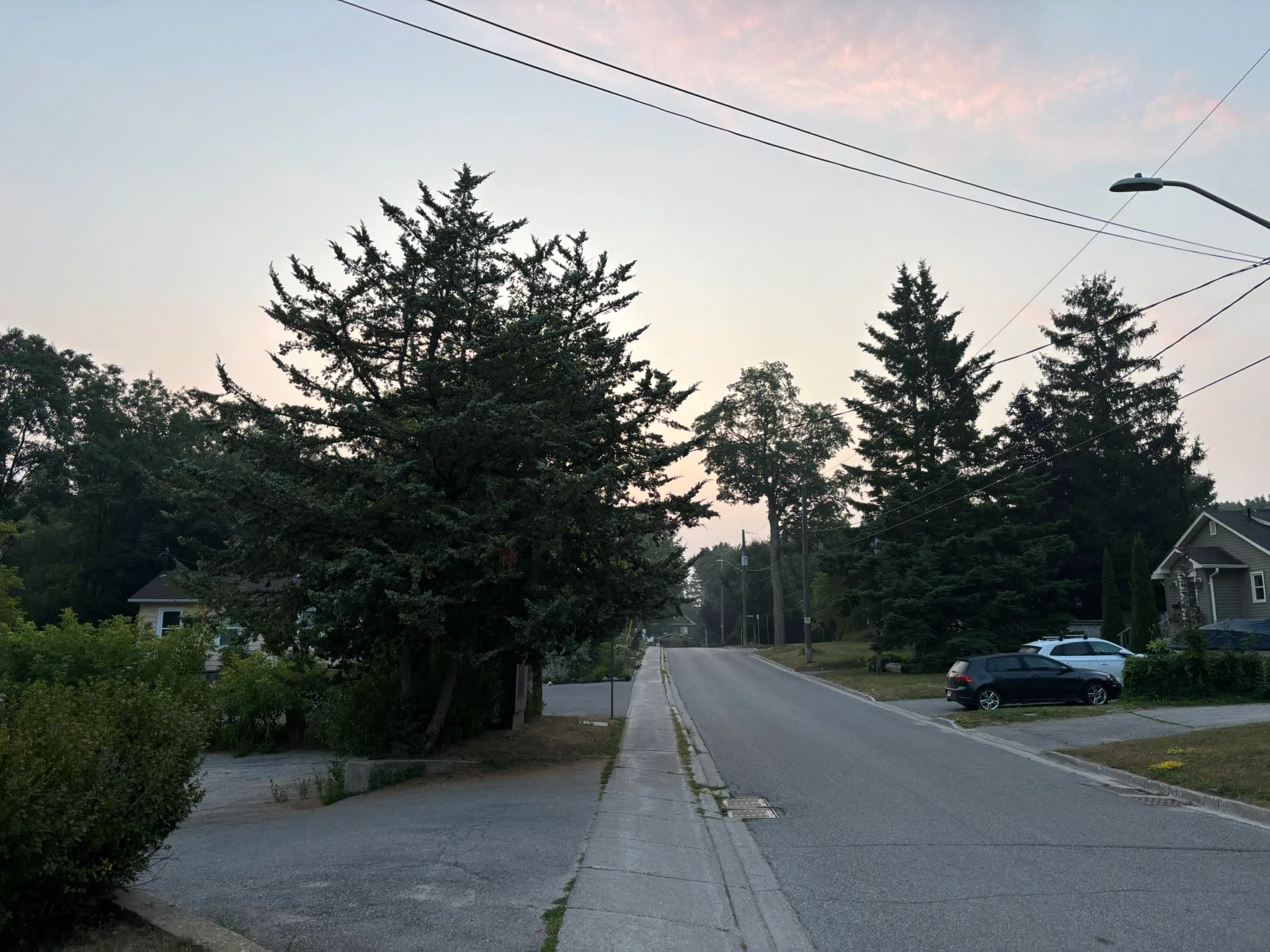 Orangeville forecast for Thursday, August 7th