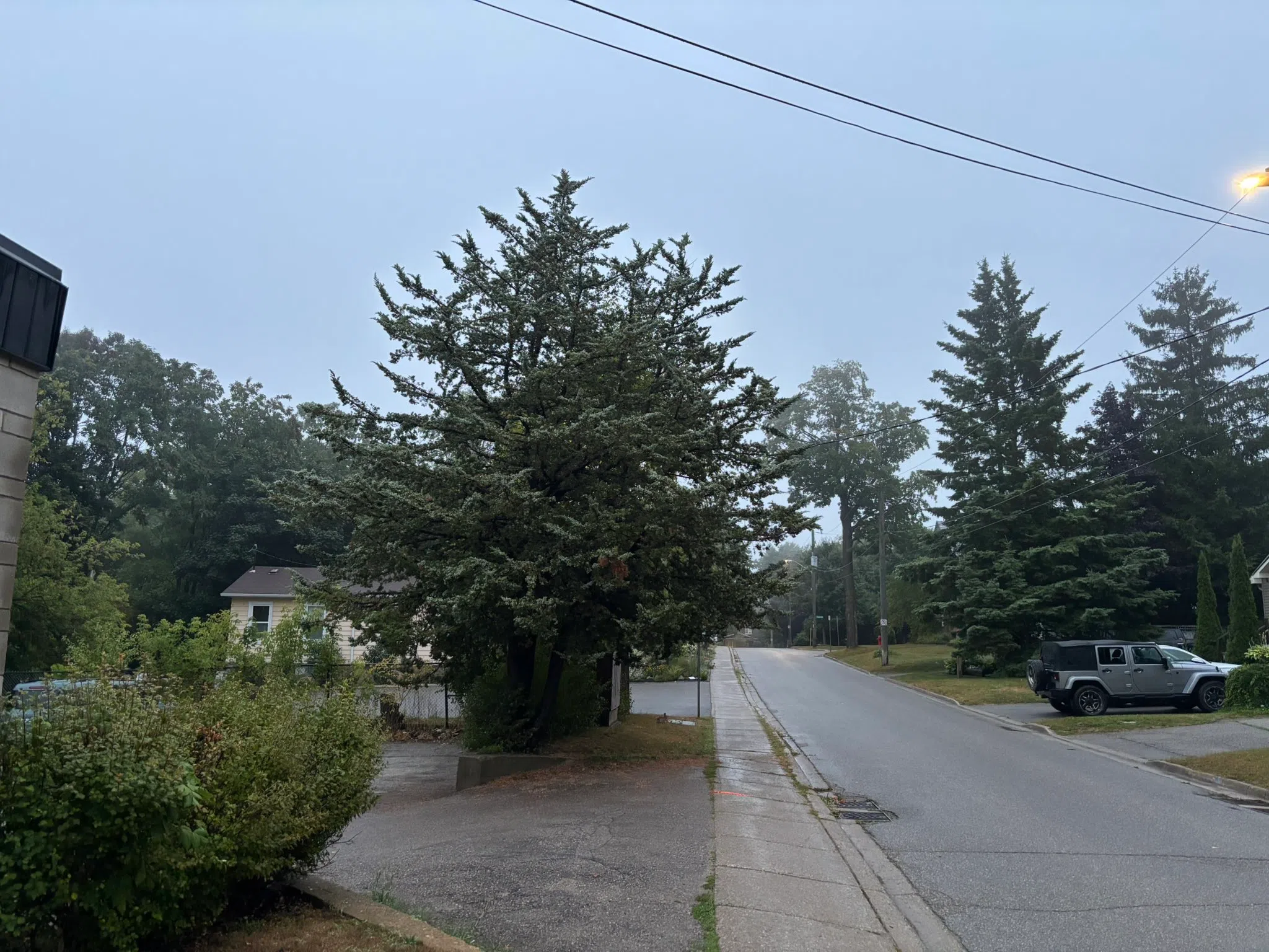Orangeville forecast for Wednesday, August 20th
