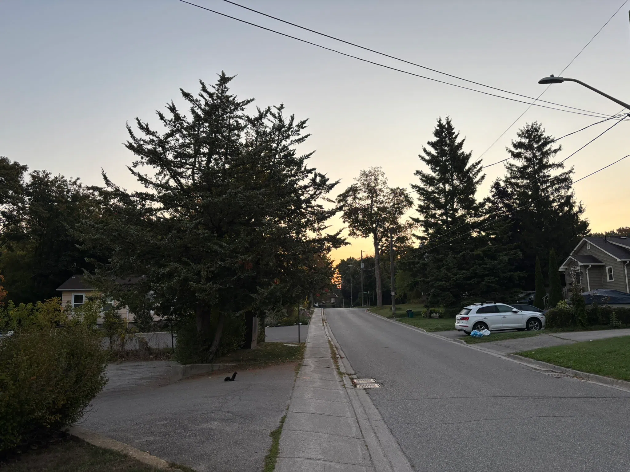 Orangeville forecast for Monday, September 15th