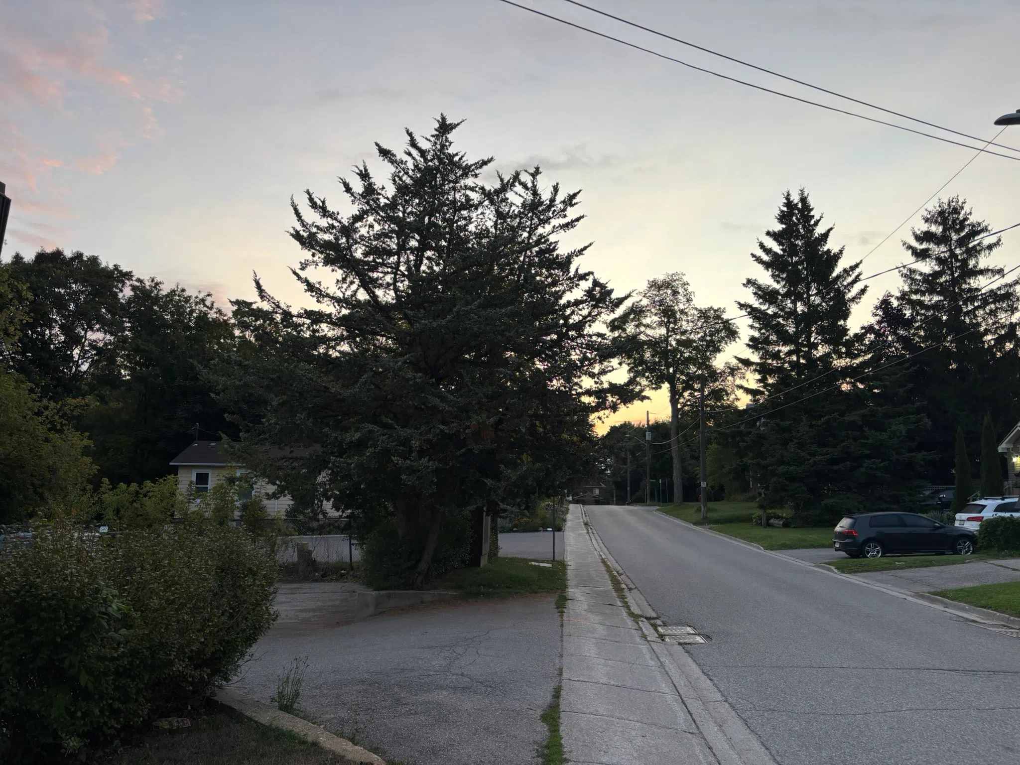 Orangeville forecast for Friday, September 5th