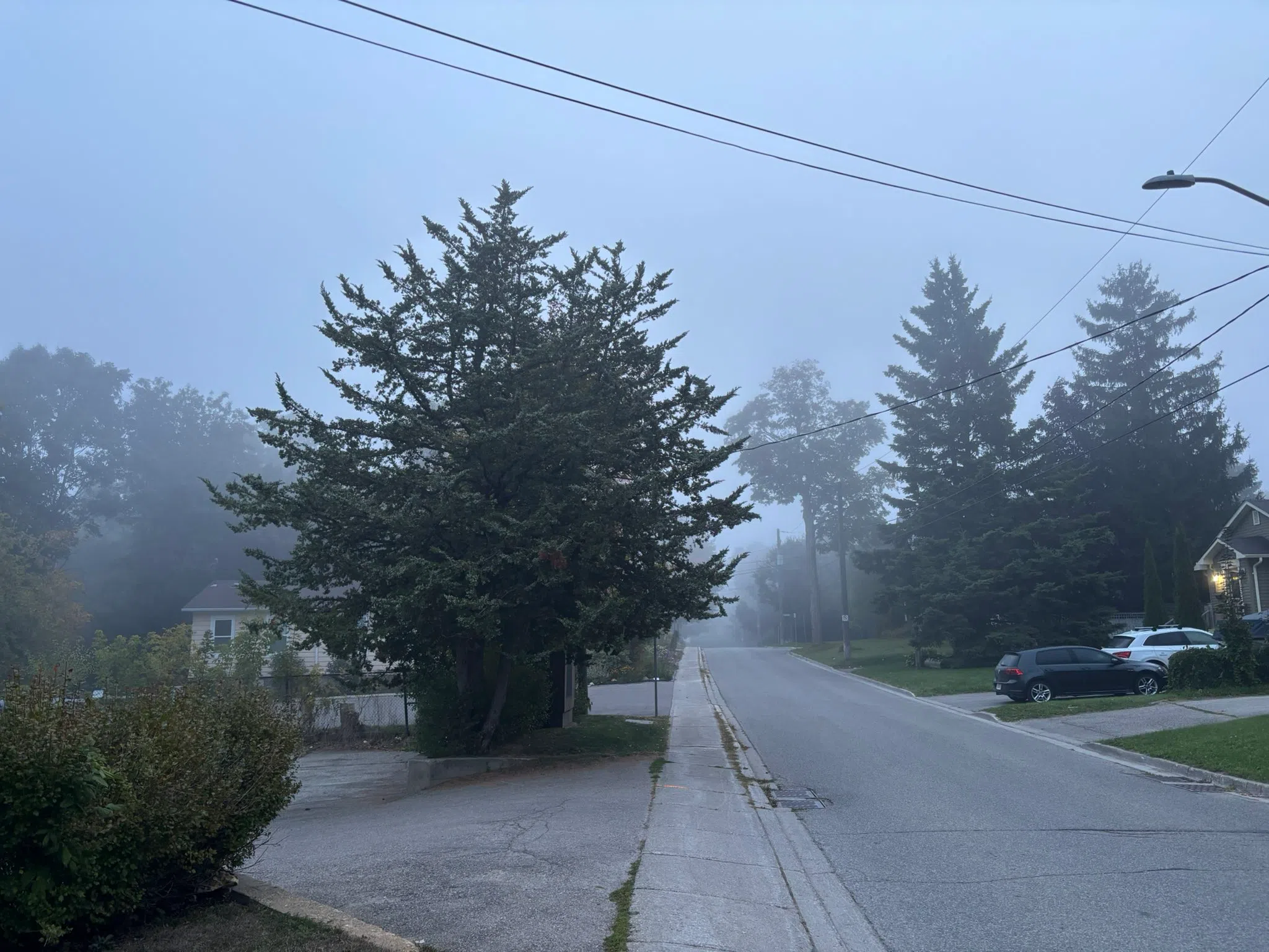 Orangeville forecast for Wednesday, September 10th