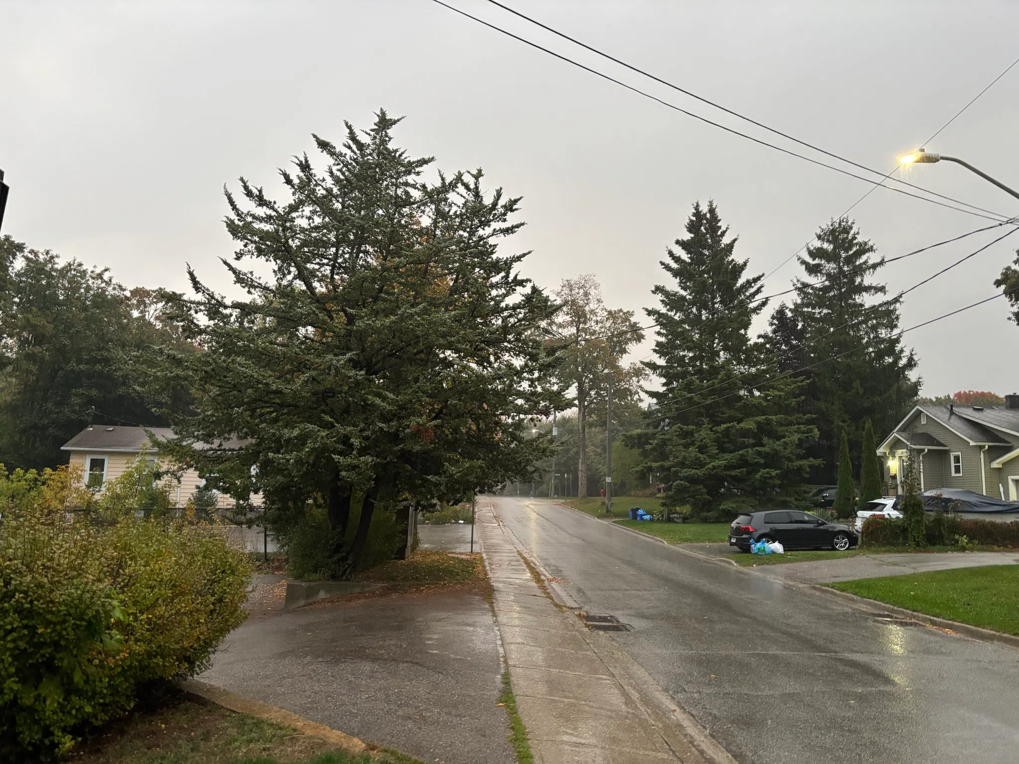 Orangeville forecast for Monday, September 22nd