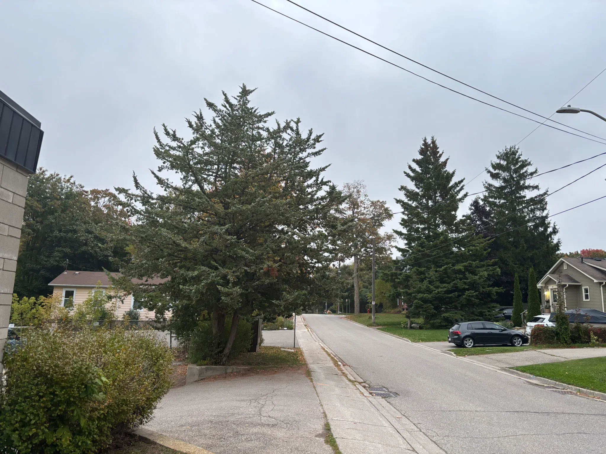 Orangeville forecast for Tuesday, September 23rd