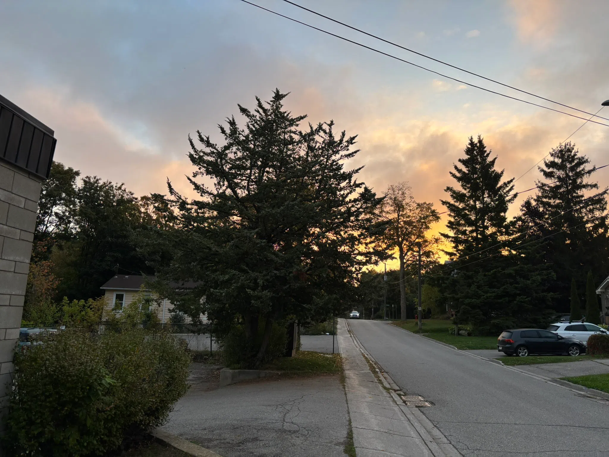 Orangeville forecast for Friday, September 26th