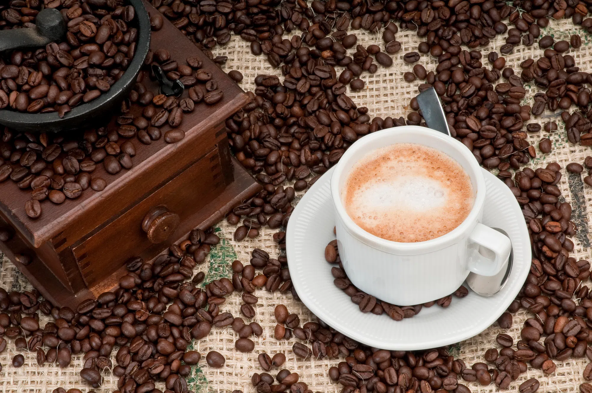 Coffee with a Cop today at Starbucks in Orangeville