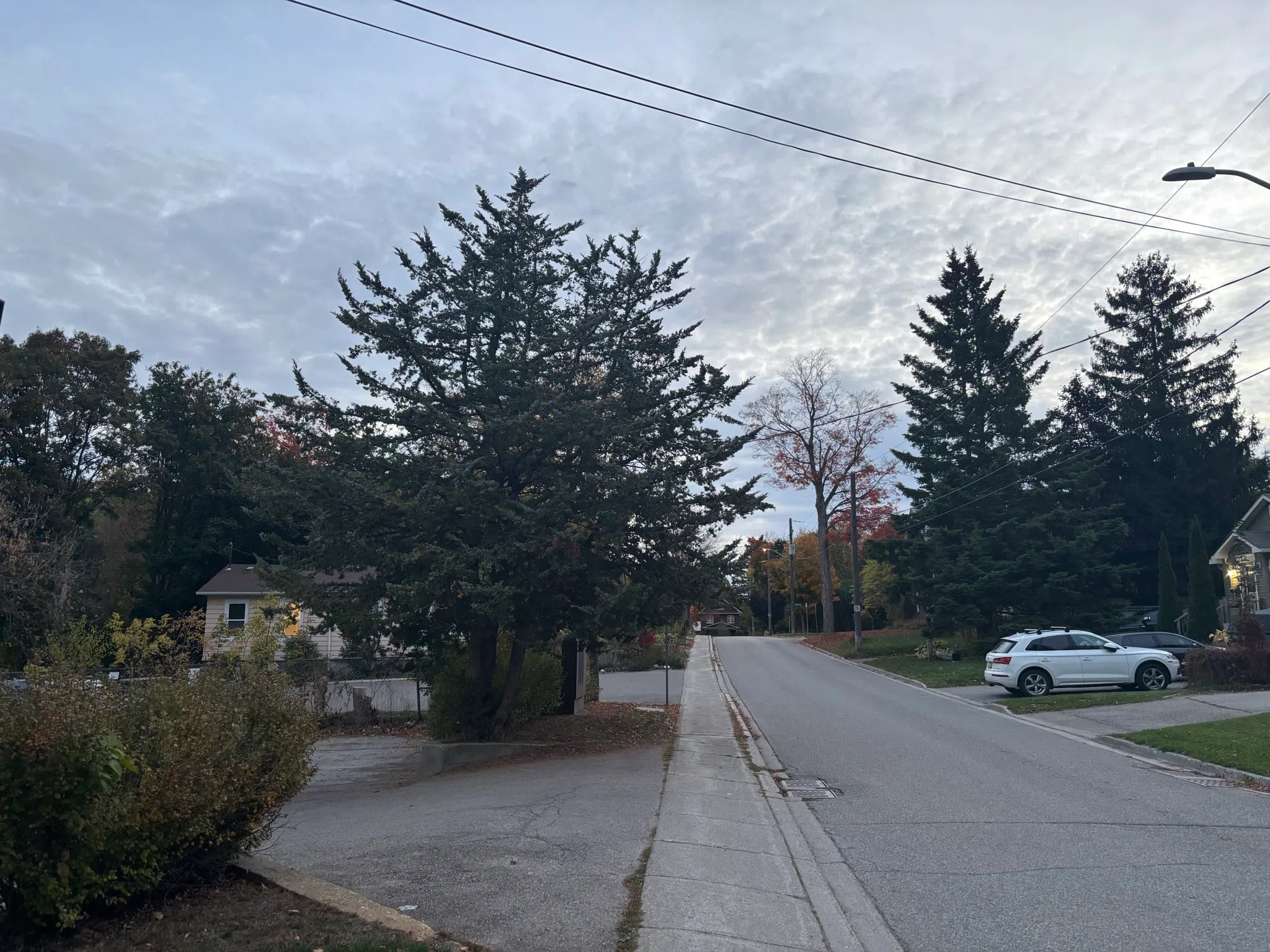 Orangeville forecast for Wednesday, October 15th