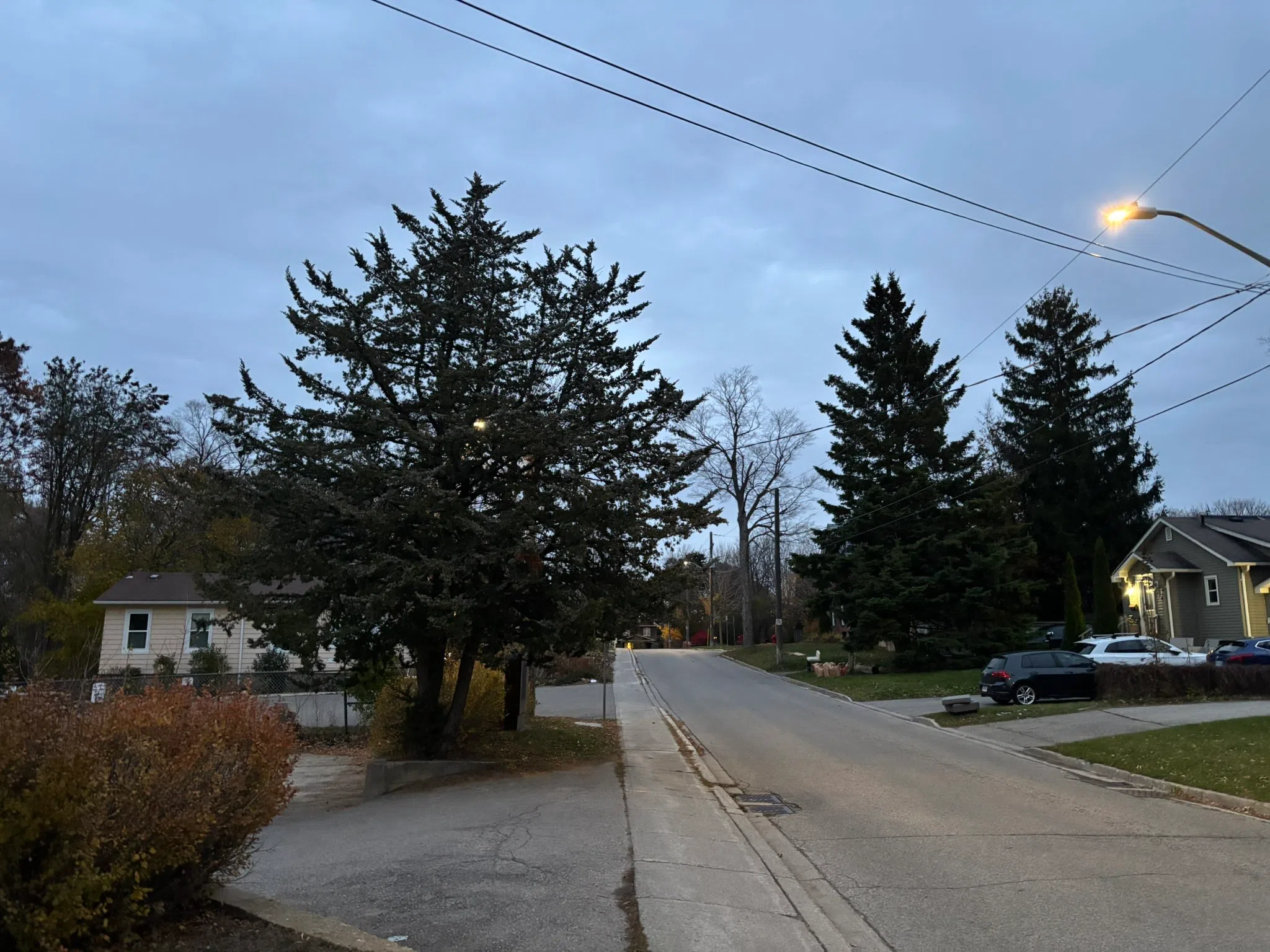 Orangeville forecast for Wednesday, November 5th