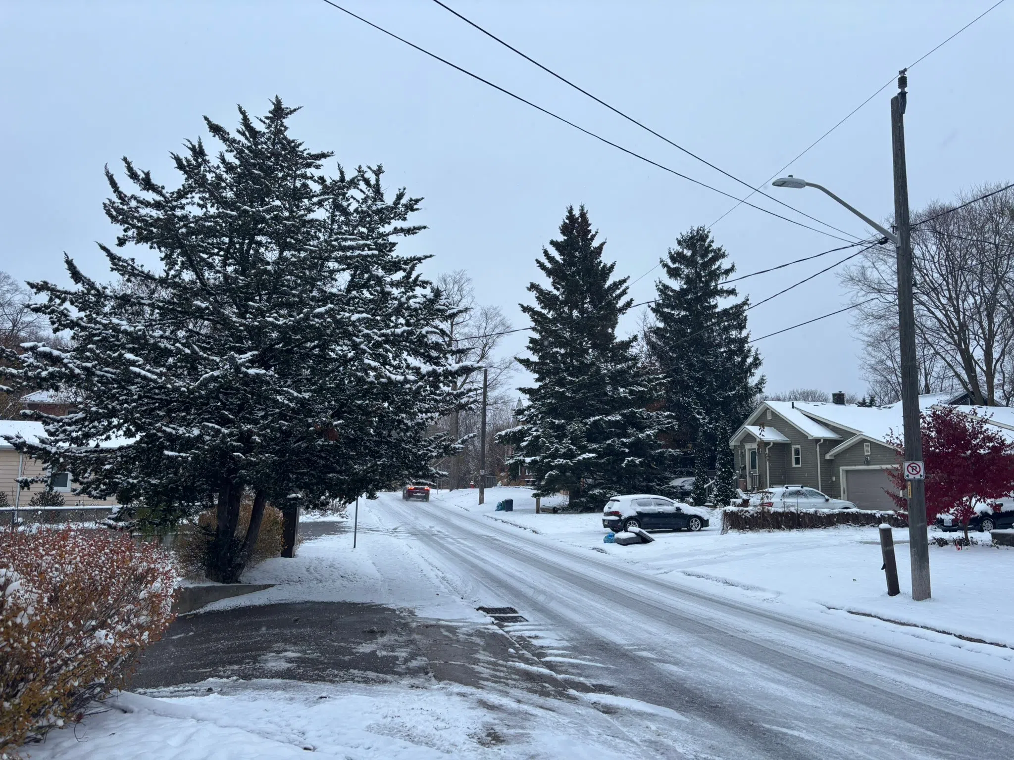 Orangeville forecast for Monday, November 10th