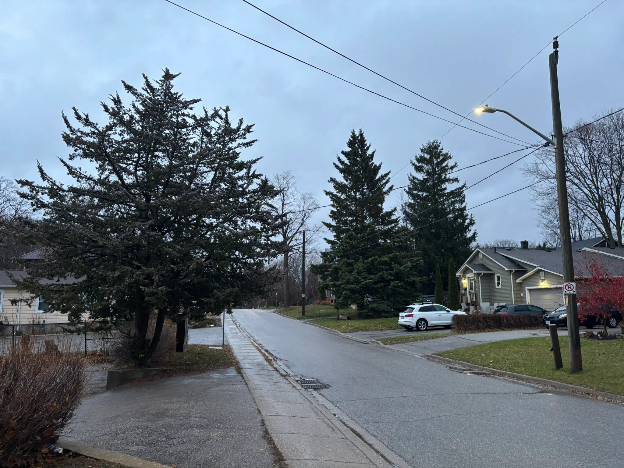 Orangeville forecast for Friday, November 21st