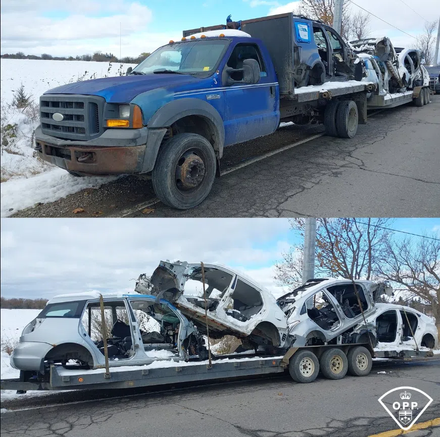 Traffic stop on commercial vehicle results in 19 offence notices