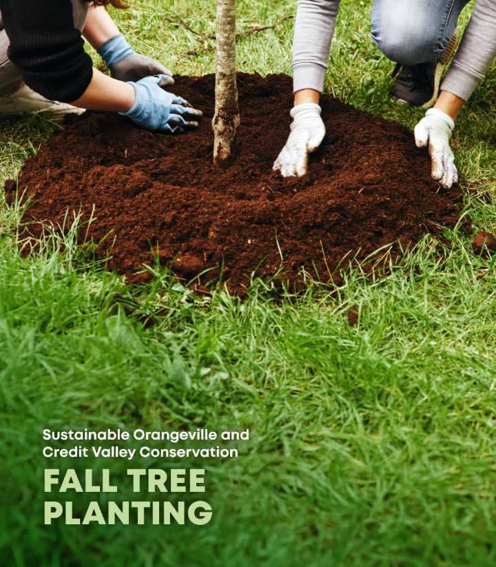 Another fall tree planting with Sustainable Orangeville and Credit Valley Conservation is coming up