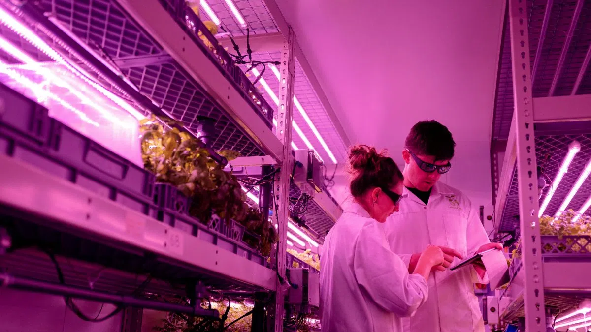 Ontario invests more than $47M in research projects to drive innovation , protect jobs