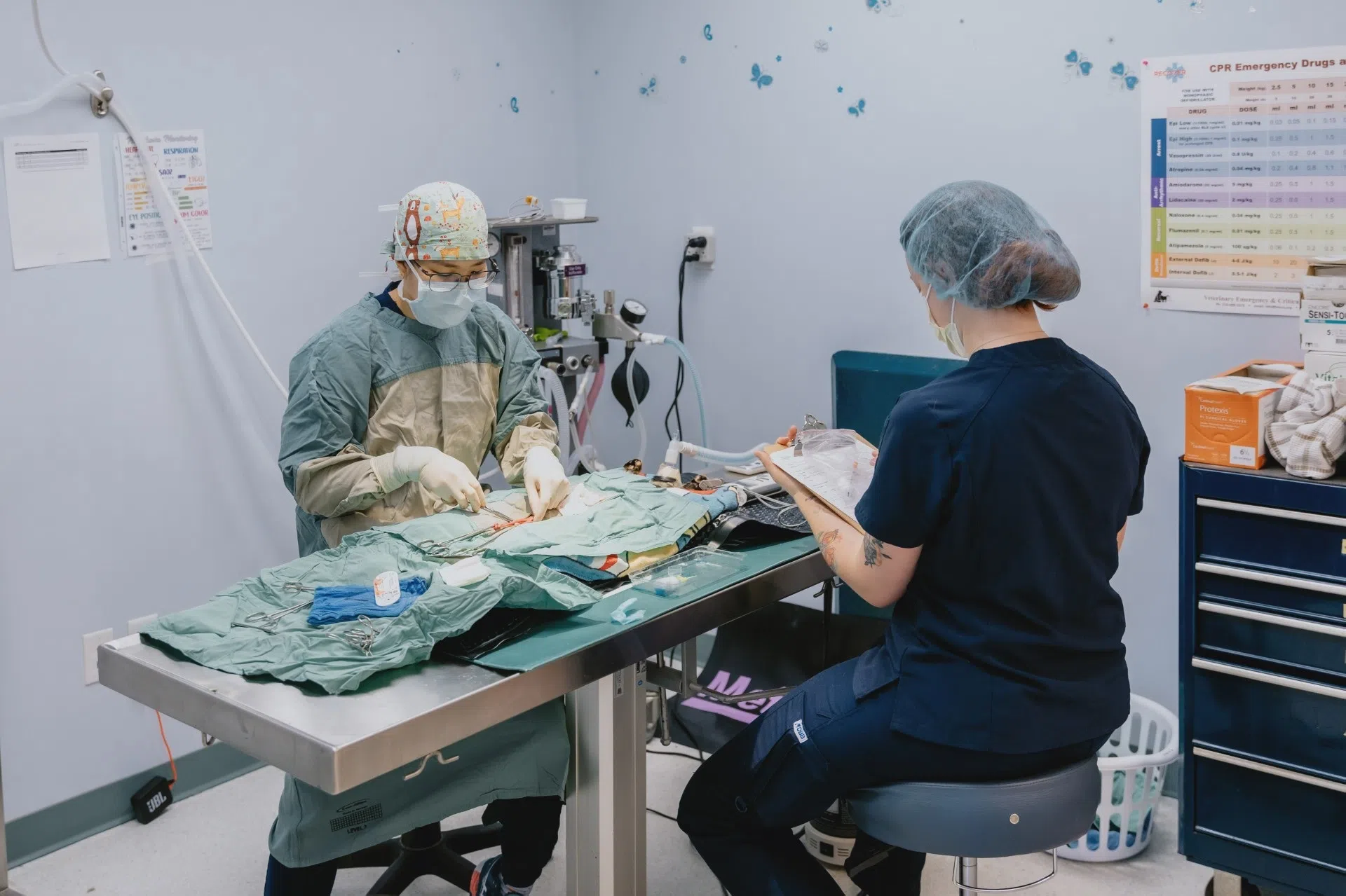 Ontario SPCA and Humane Society celebrates its 8,000th spay/neuter - Services Offered By Ontario Spay And Neuter