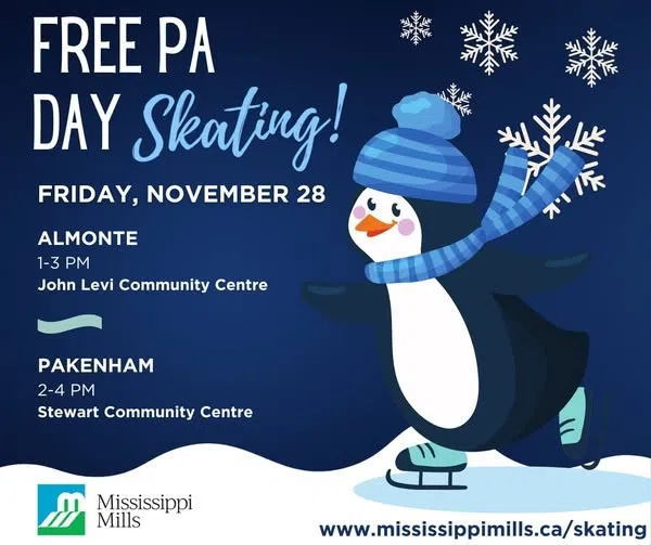 Free Public Skating Friday in Mississippi Mills