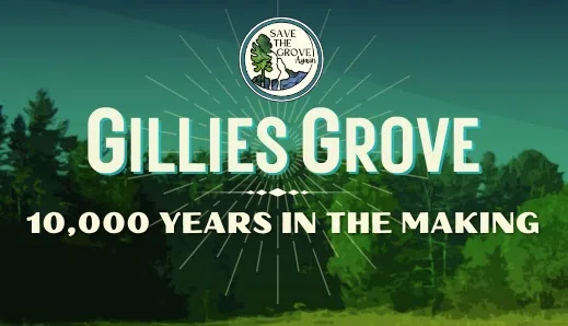 What's Good in Arnprior: Save the Grove Again Campaign invites your New Year's Resolutions to get involved