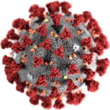 Public Health Officials Announce Fifth Case of Coronavirus Disease in Illinois
