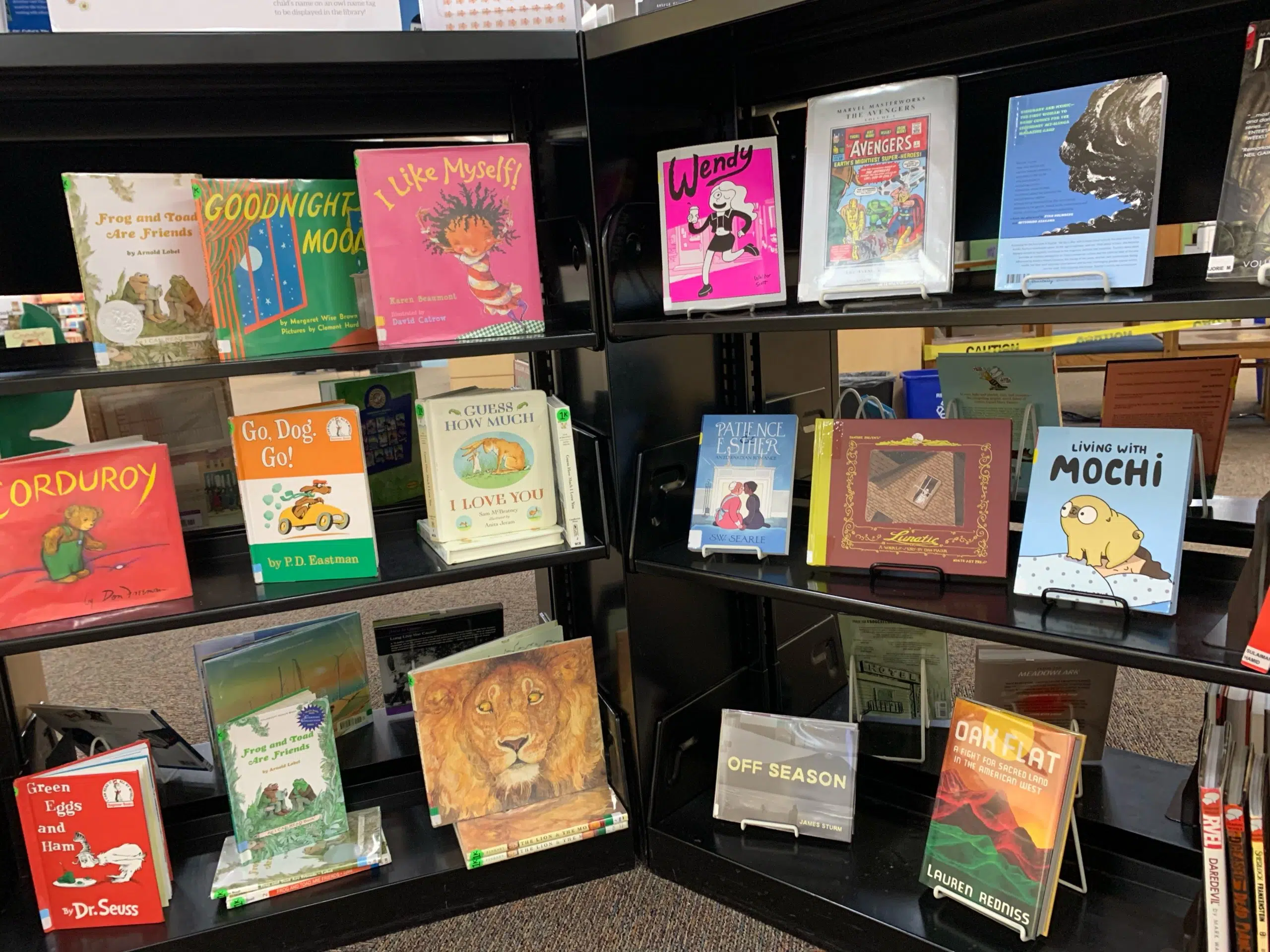 Public Library Displaying Sexually Explicit Books With Children's Books