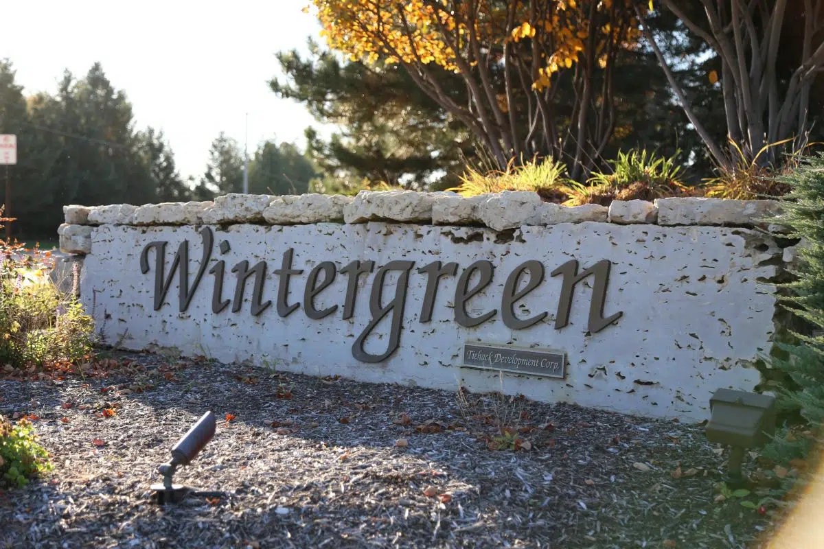 Facts and Logic Regarding the Wintergreen Proposal