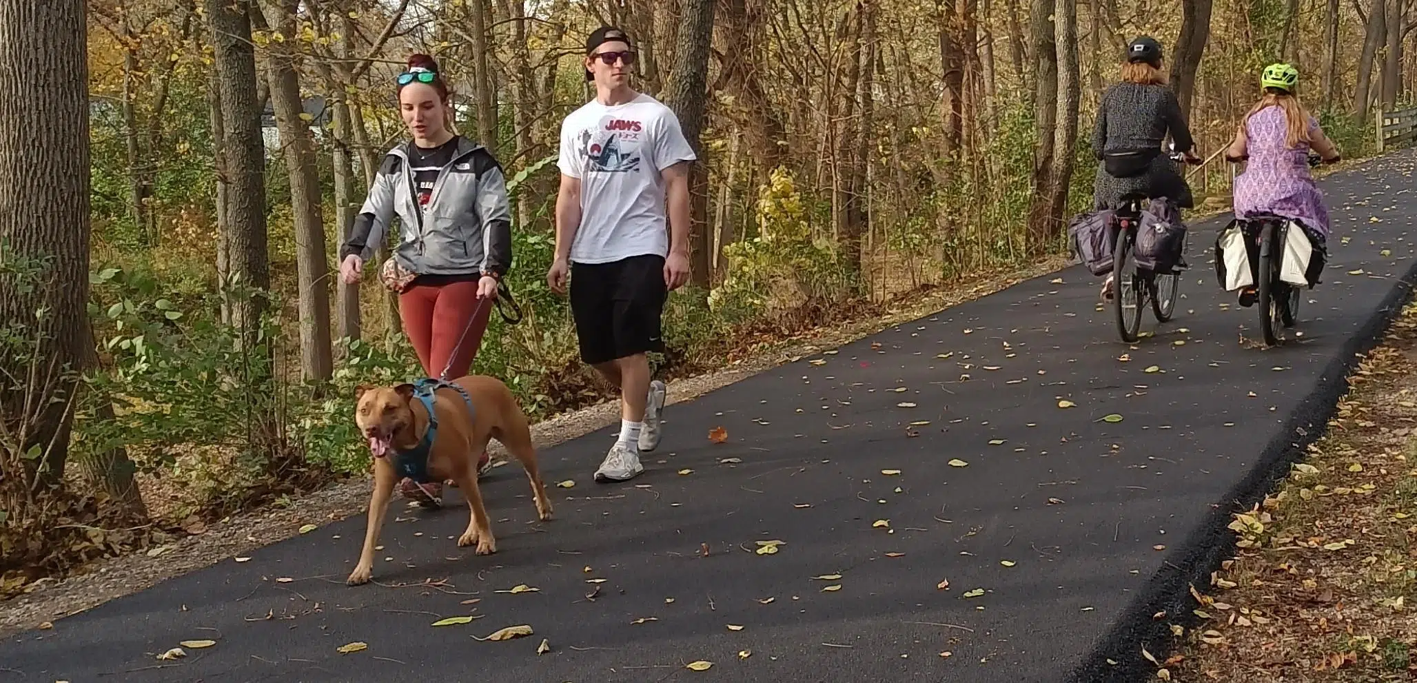 Constitution Trail Repaved in Normal from Lincoln to Sycamore