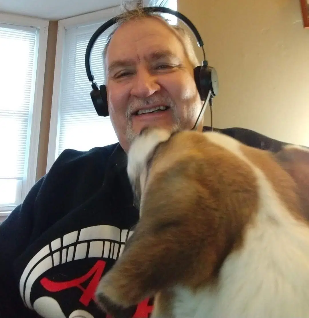 It's Not Illegal to Make Faces or Smile at a Dog in Normal