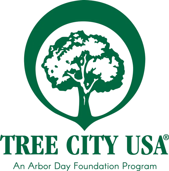 Bloomington Named Tree City USA Community
