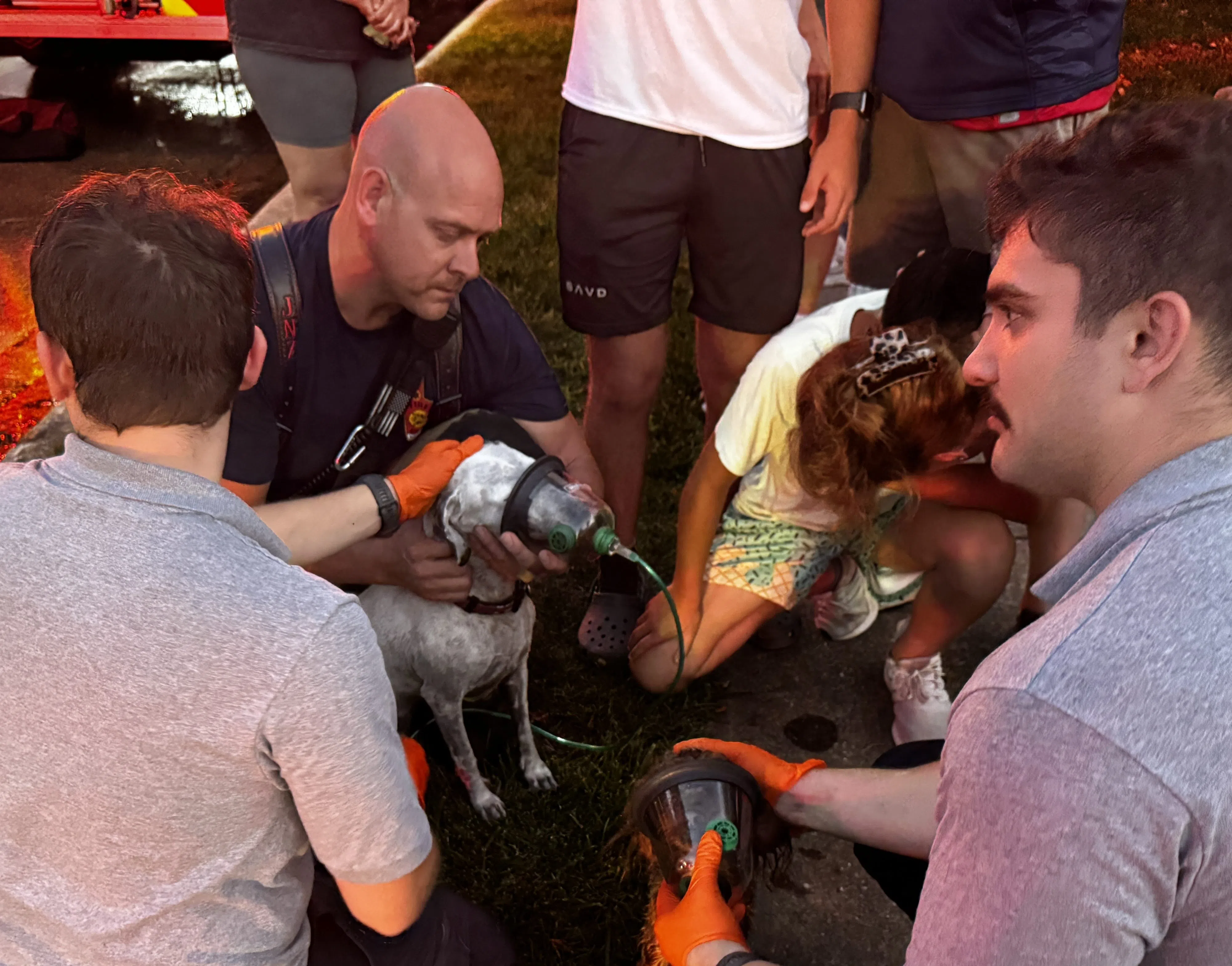 Home Damaged, Dogs Rescued in Ironwood Fire