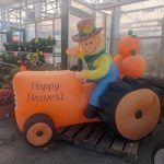 Laurel Nursery 2