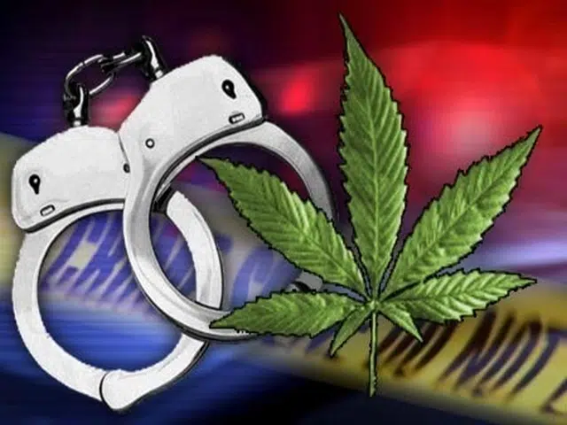 WING Task Force Breaks-Up Marijuana Grow Operation near Gering