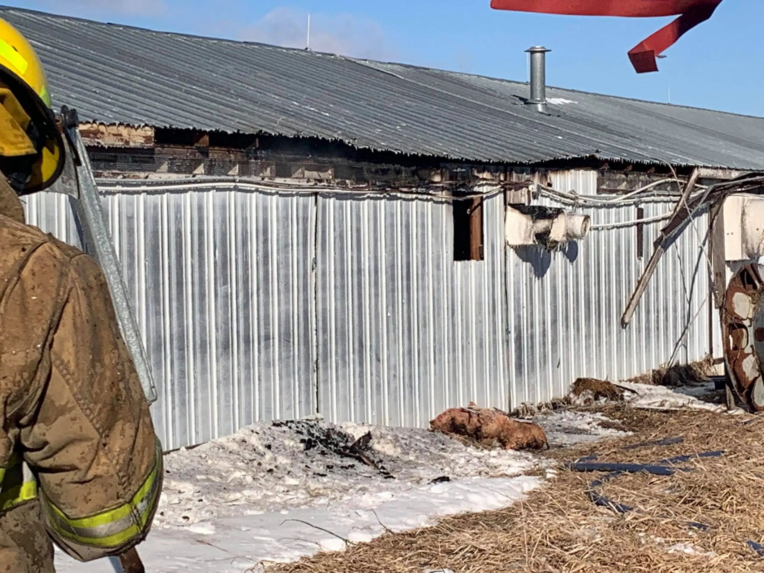 Minor Hog Barn Fire West of Ord Leaves Minimal Damages