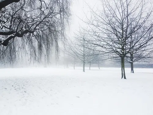 Snow accumulation totals for Nebraskan towns, with more expected Thursday