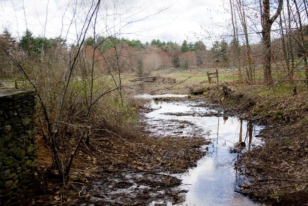 Federal Judge Block Rules Intended to Protect Waterways