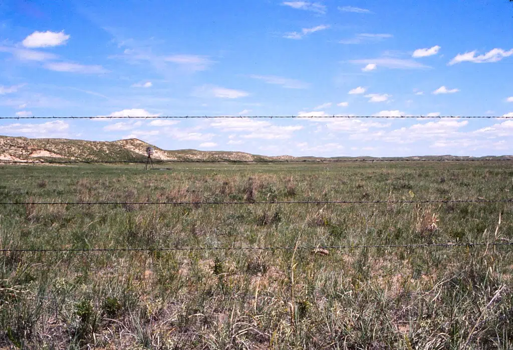 USDA Designates 55 Nebraska Counties as Natural Disaster Areas for Drought