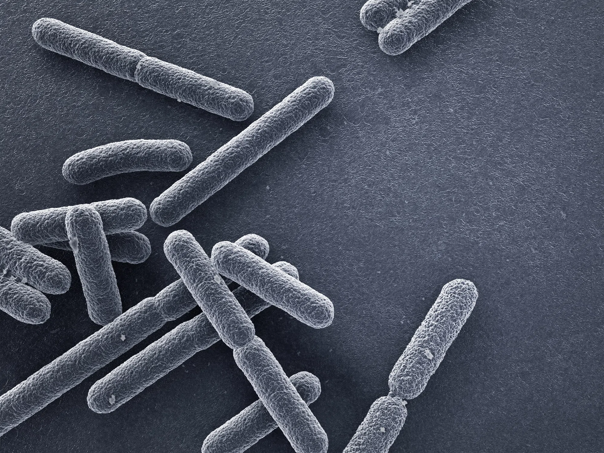 E. coli Outbreak Primarily Impacts Nebraska and Colorado