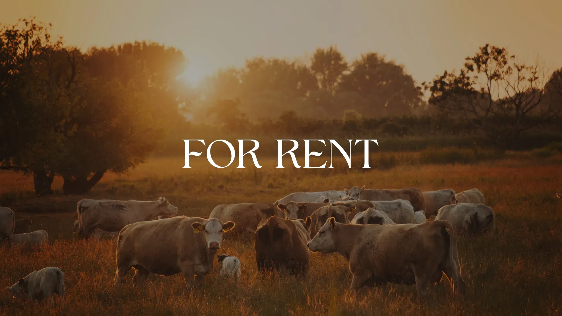 Pasture for rent