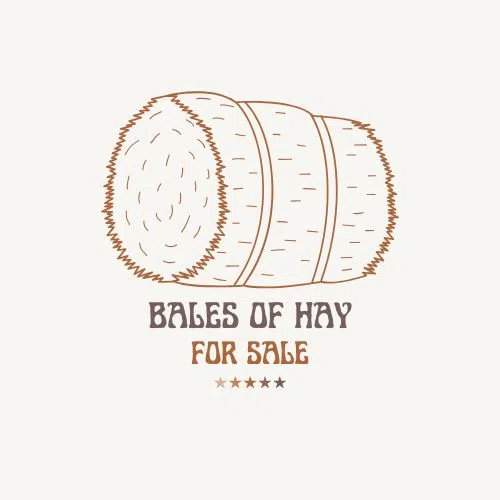 Bales of Hay For Sale